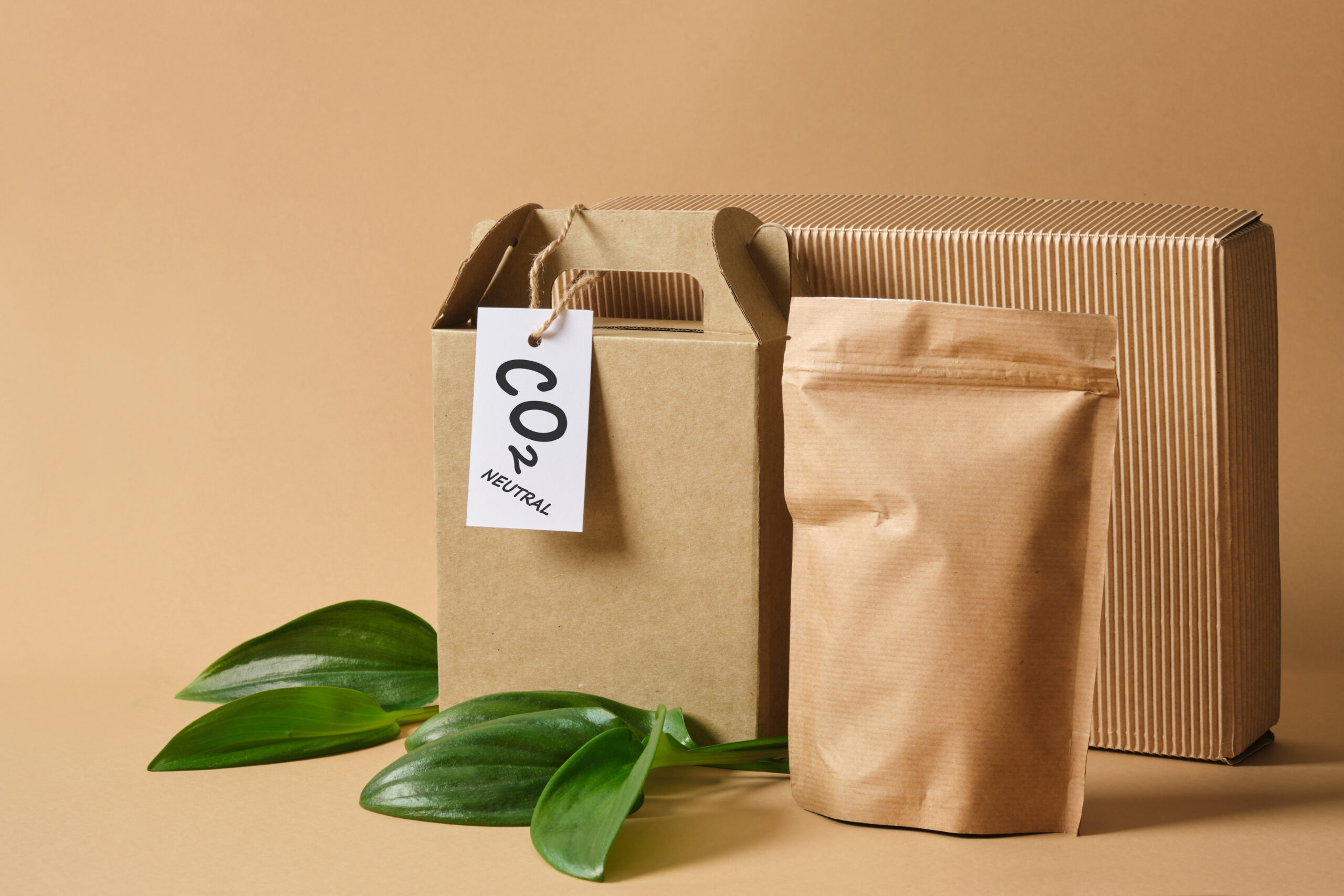 Rolling Green: Sustainable Cannabis Packaging for a Greener Future
