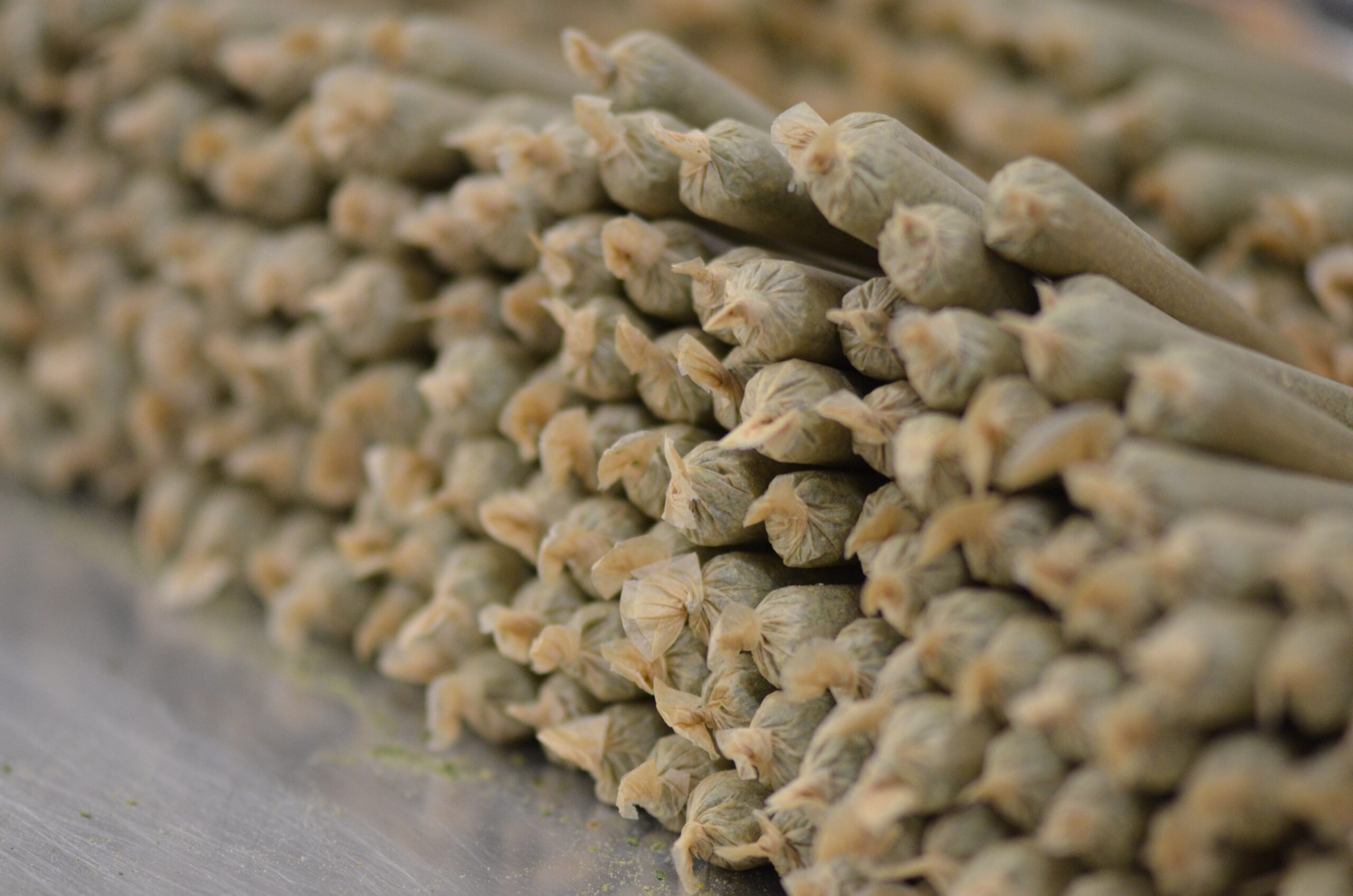 Pre-Roll Box and Packaging Options: A Trendsetter’s Guide for the Modern Era