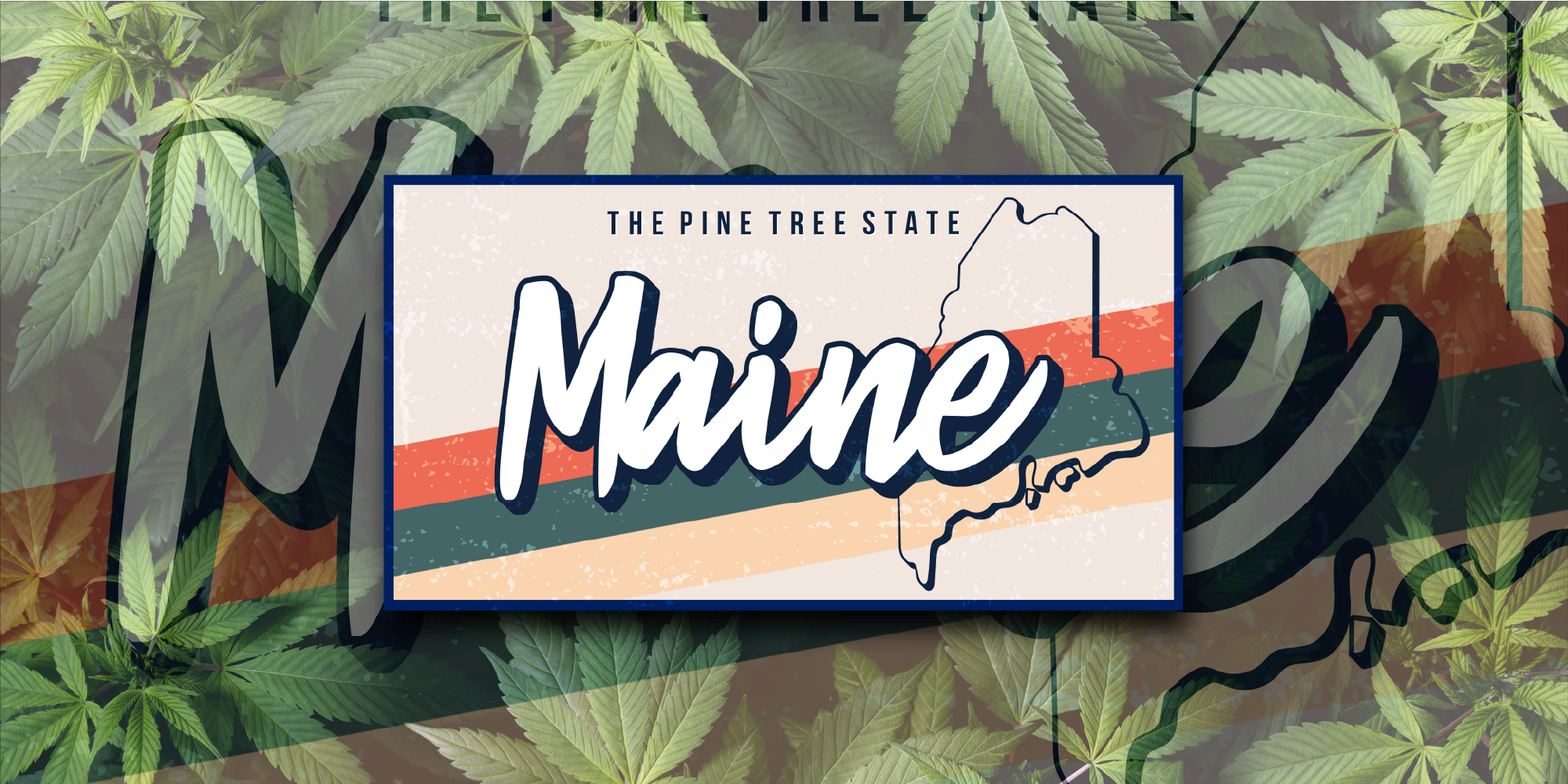 Maine State Cannabis Packaging