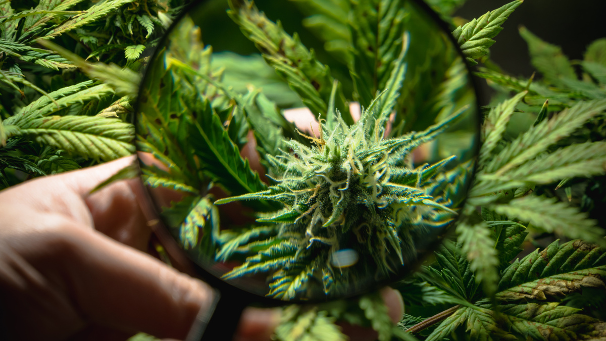 Labeling Essentials in North Dakota