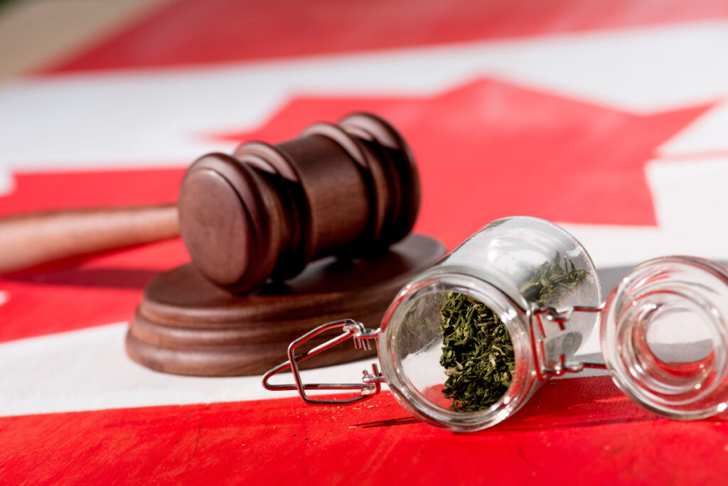 Legal Considerations for Shipping Cannabis Products