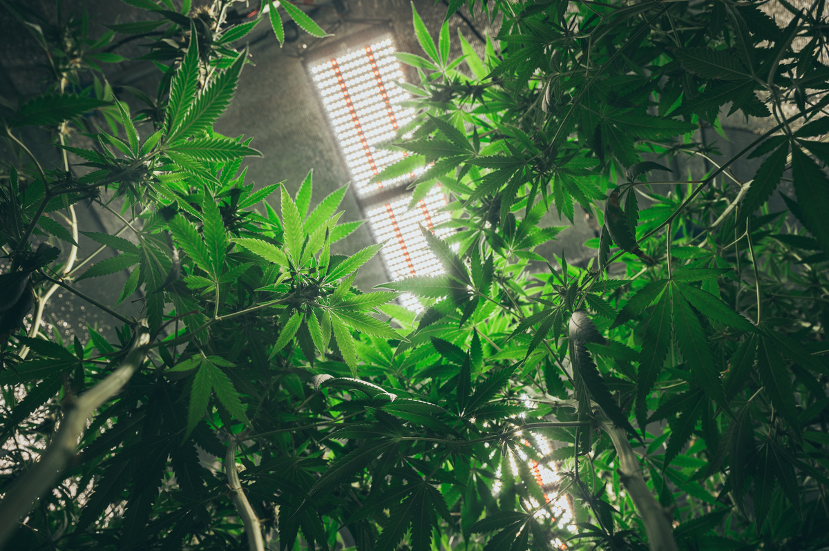 Key Packaging and Labeling Requirements in Utah