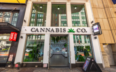 A Guide to Cannabis Brand Fonts: How Typography Defines Your Brand’s Personality