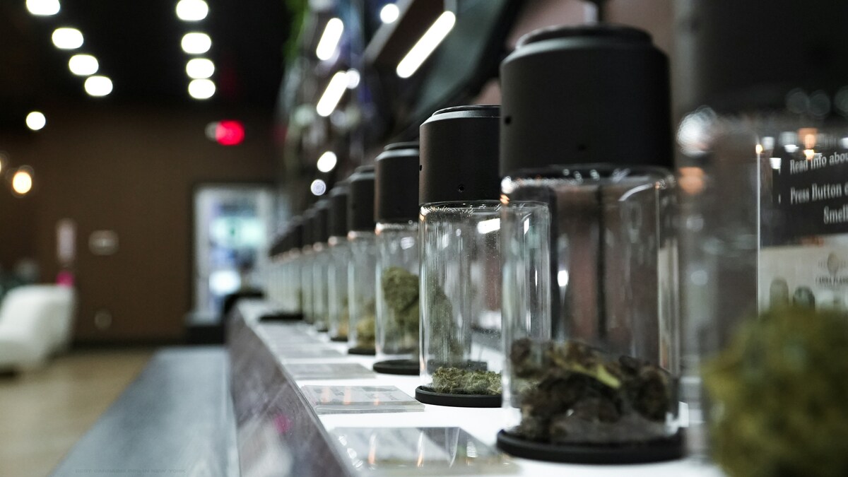 Cannabis Brand Consistency