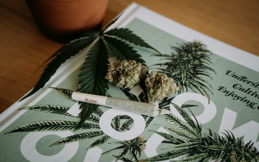 From Product to Lifestyle: How to Build a Cannabis Lifestyle Brand That Becomes a Movement